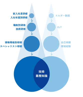 育成の全体像の図