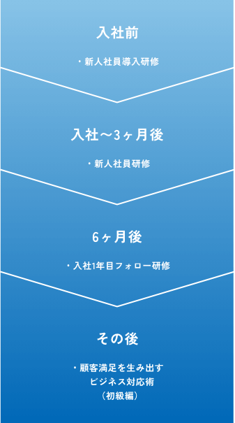 入社前:新人社員導入研修、入社〜3ヶ月後:新人社員研修、6ヶ月後:入社1年目フォロー研修、その後:顧客満足を生み出すビジネス対応術（初級編）